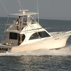 AquaMan Sportfishing Charters