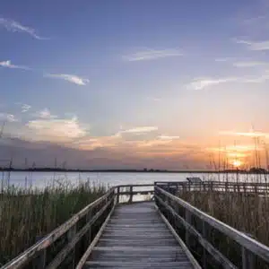 Back Bay National Wildlife Refuge