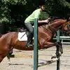 East Coast Equestrian Training