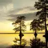 Great Dismal Swamp National Wildlife Refuge