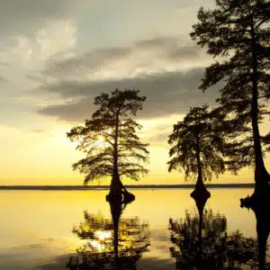 Great Dismal Swamp National Wildlife Refuge