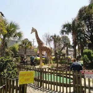 Jungle Golf Of Virginia Beach