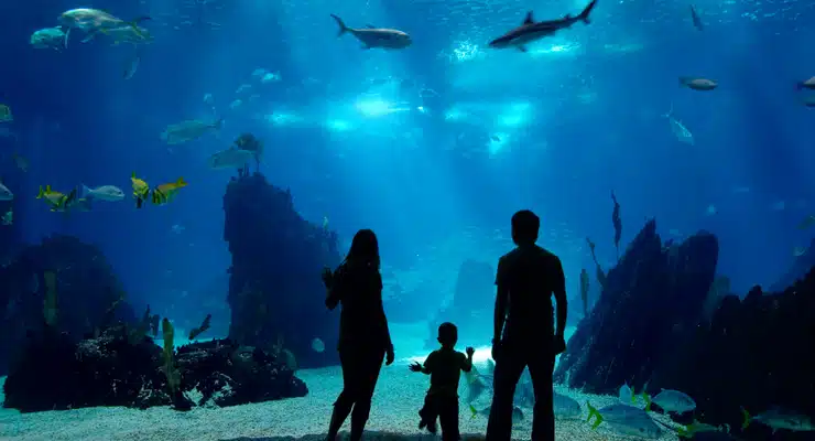 Virginia Beach Aquarium - Funfor all ages