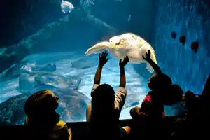 Virginia Beach Aquarium