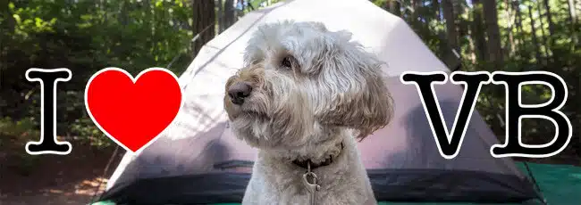 Pet Friendly Campgrounds