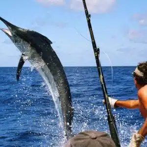 Virginia Beach Charter Fishing