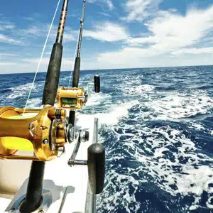 Offshore Charter Fishing