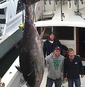 Record Tuna Fishing in Virginia Beach