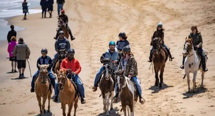 Virginia Beach Horseback