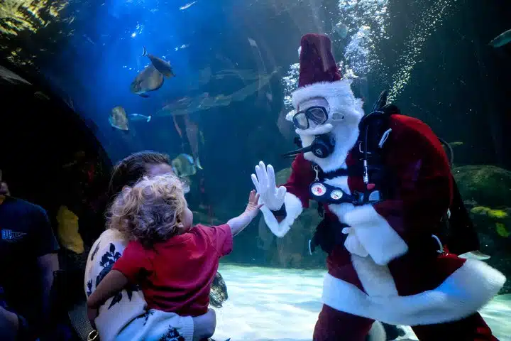 The Virginia Aquarium-Holiday Fun in Virginia Beach