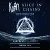 KoRn & Alice In Chains