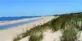 seaside view of first landing state park