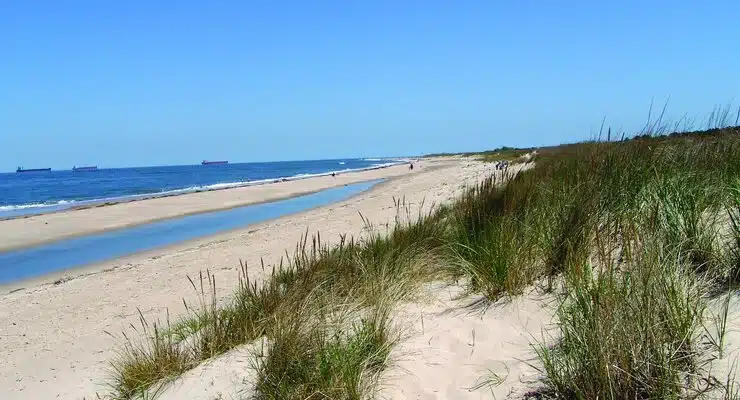 seaside view of first landing state park